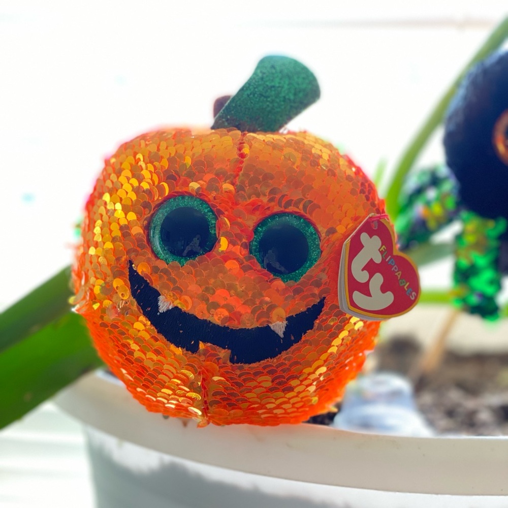 Ty Flippables Pumpkin “Seeds”